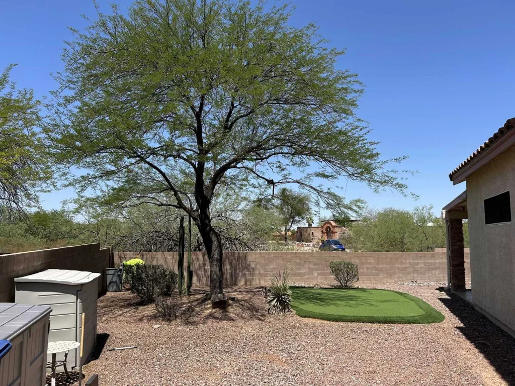 Joe's Yard, Tree, & Irrigation project
