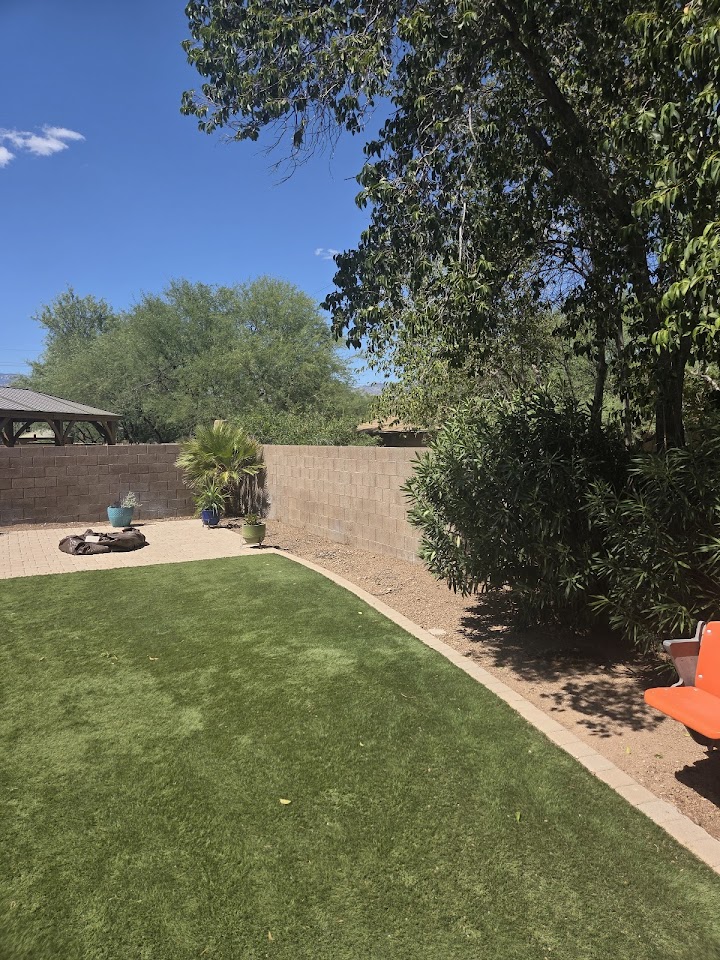 Joe's Yard, Tree, & Irrigation project